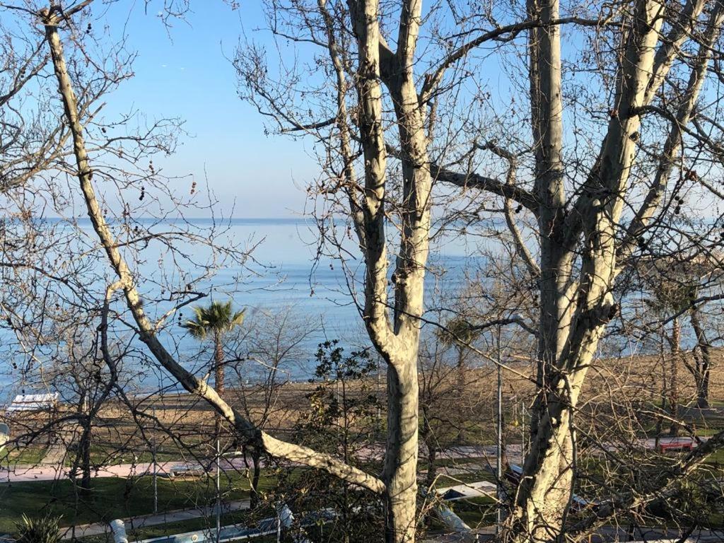 Yalova_Merkez Yalova  Luaran gambar